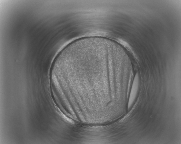 X0000066951184200604142041