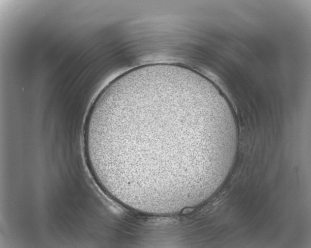 X0000066951187200604142041