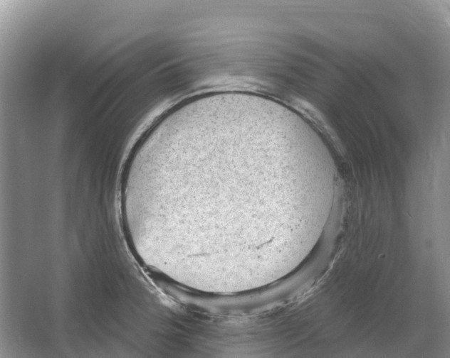 X0000066951188200604142041