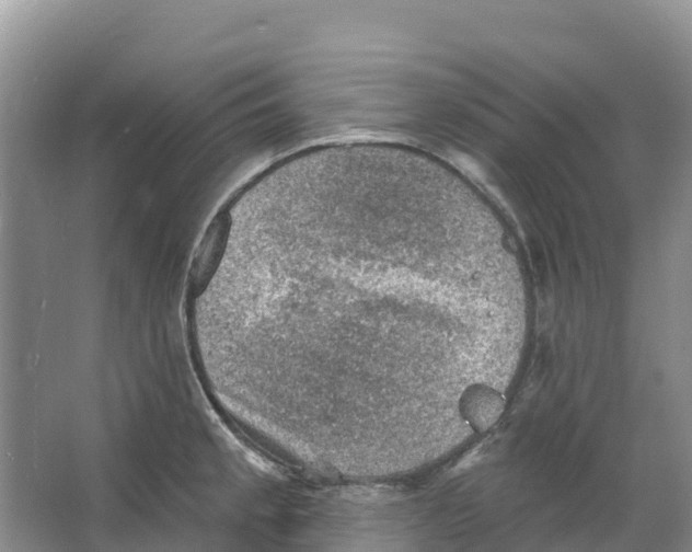 X0000066951189200604142041