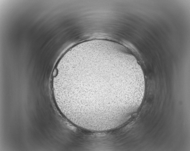 X0000066951190200604142041