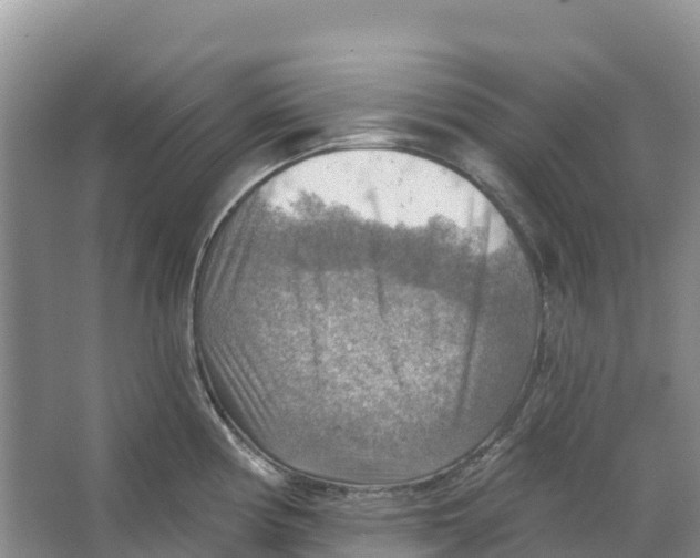 X0000066951194200604142041