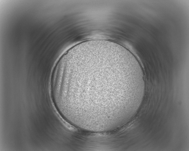 X0000066951195200604142041