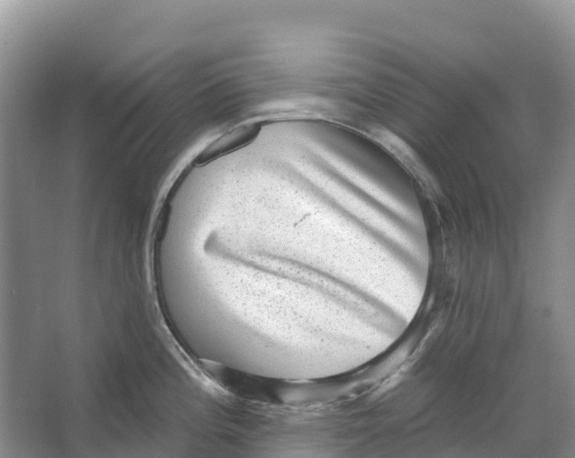 X0000066951196200604142041