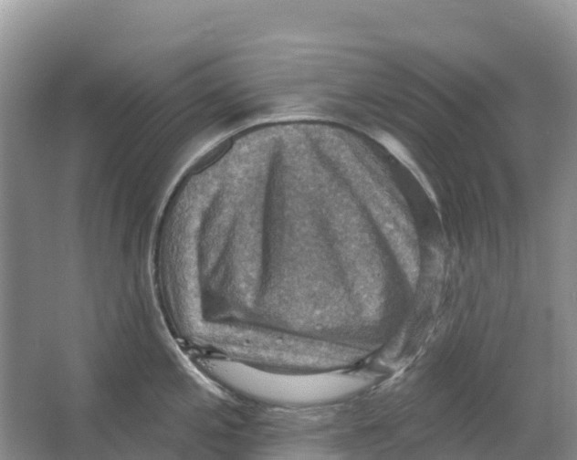 X0000066951197200604142041