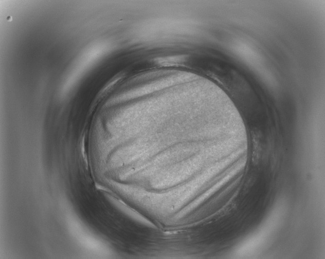 X0000066951198200604142041