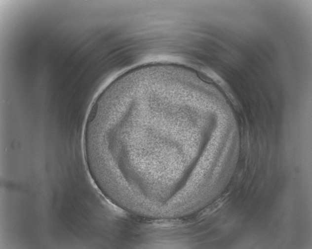 X0000066951199200604142041