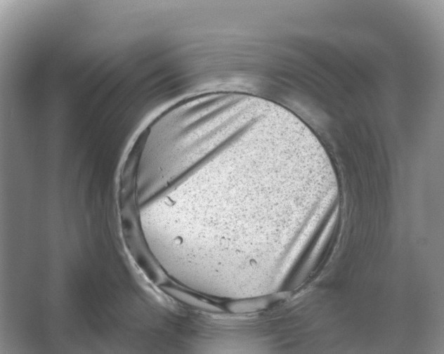 X0000066951200200604142041