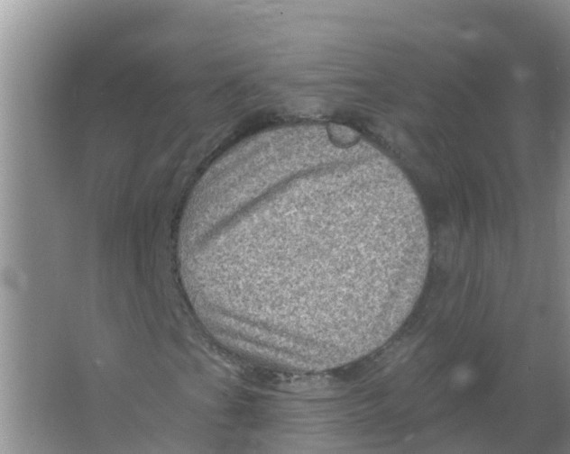 X0000066951201200604142040