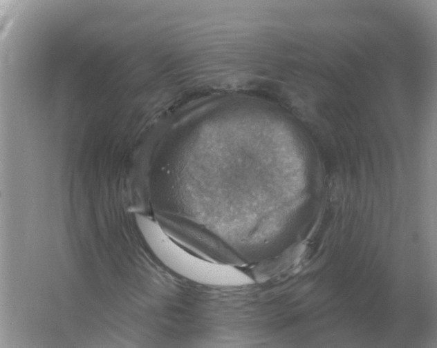 X0000066951202200604142040