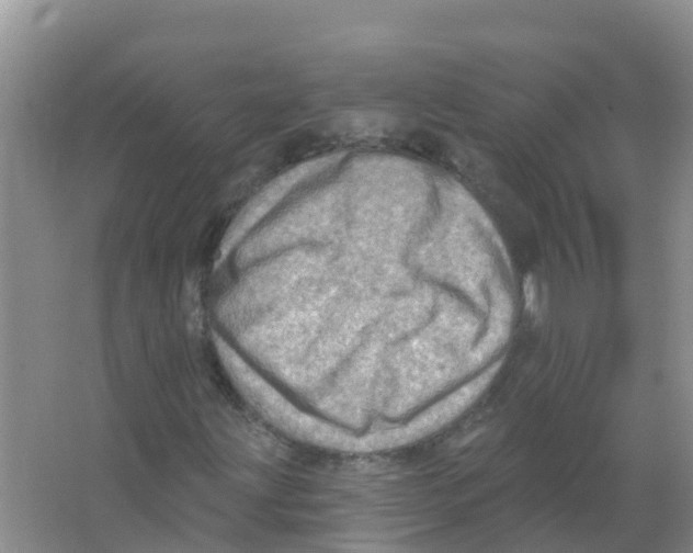 X0000066951203200604142040