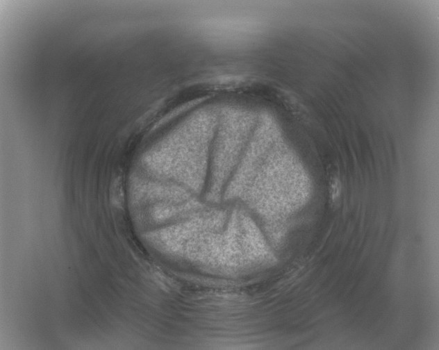 X0000066951204200604142040