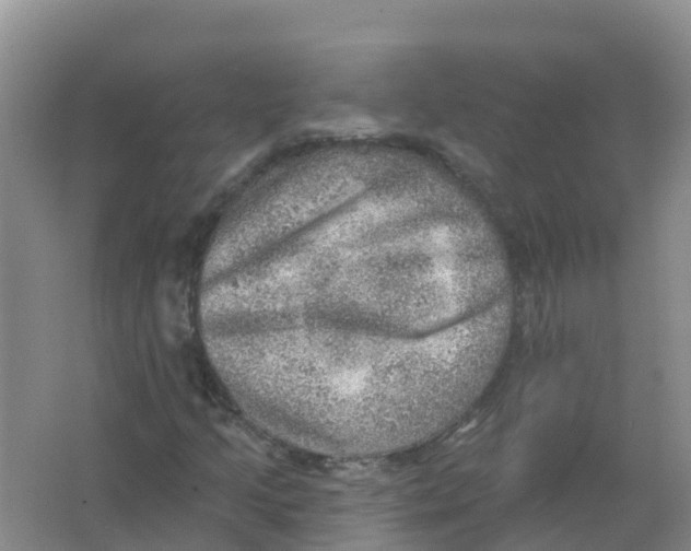 X0000066951205200604142040