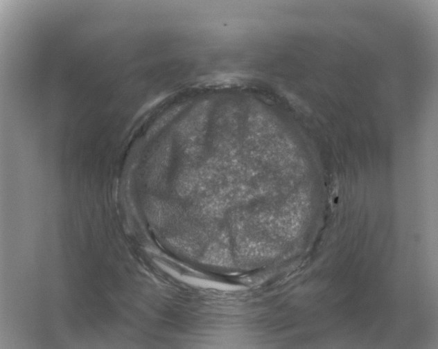 X0000066951206200604142040