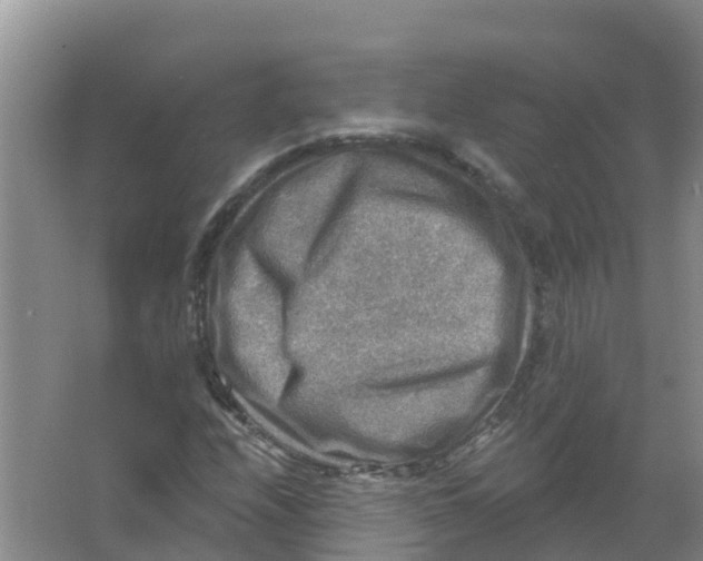 X0000066951208200604142040