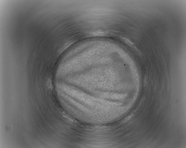 X0000066951209200604142040