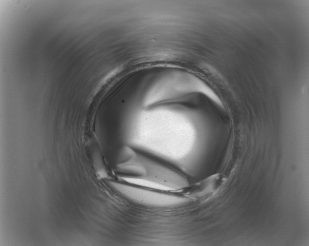 X0000066951210200604142040