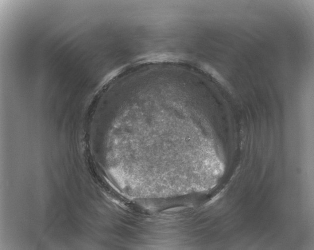 X0000066951213200604142041