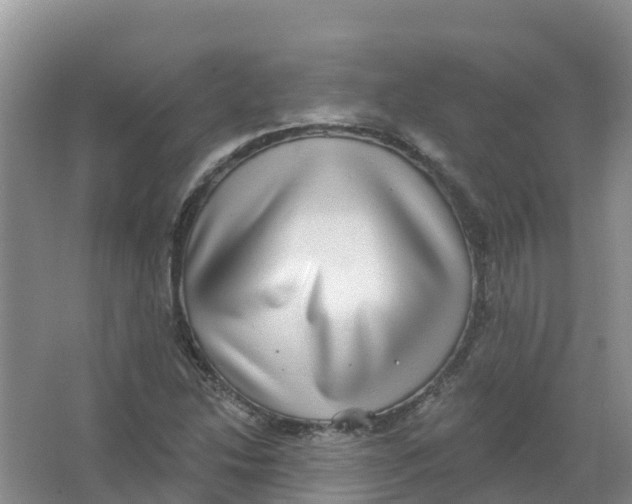 X0000066951214200604142041