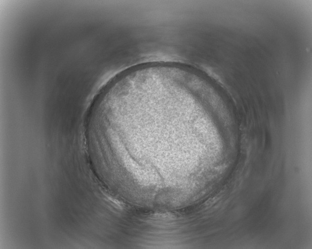 X0000066951215200604142041