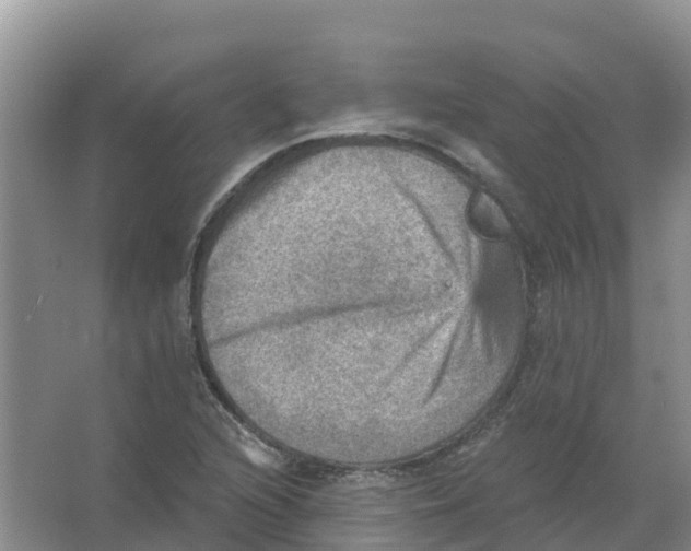 X0000066951216200604142041