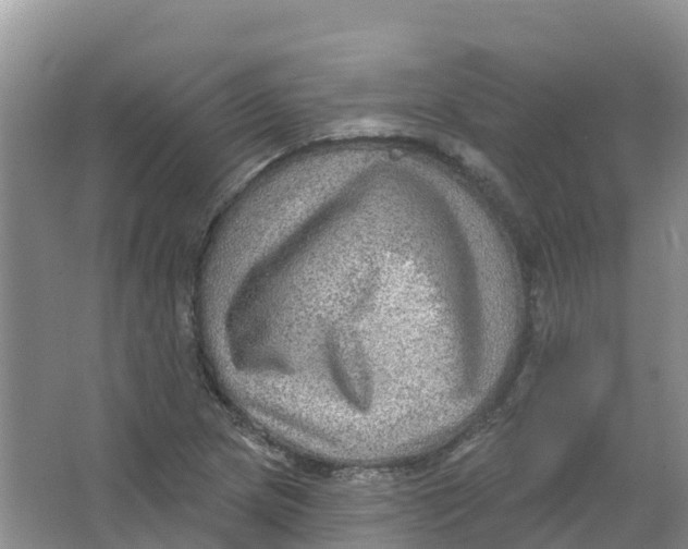 X0000066951217200604142041