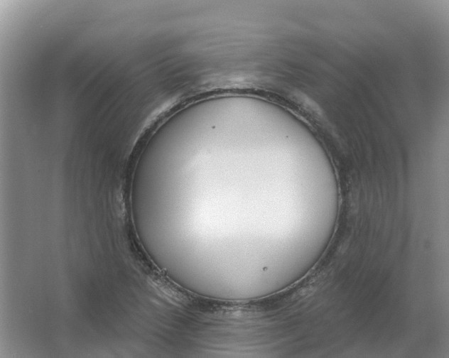 X0000066951218200604142041