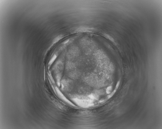 X0000066951219200604142041