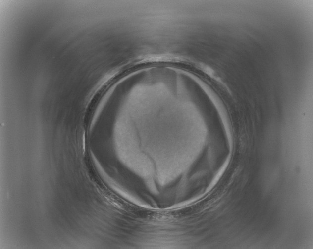 X0000066951221200604142041