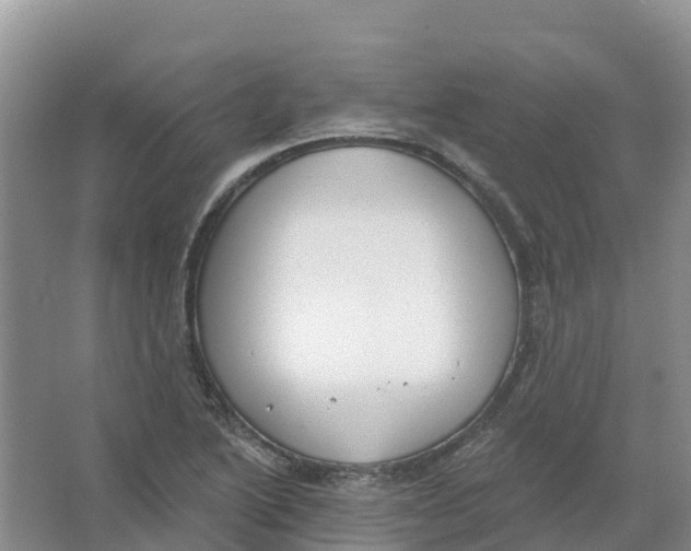 X0000066951222200604142041