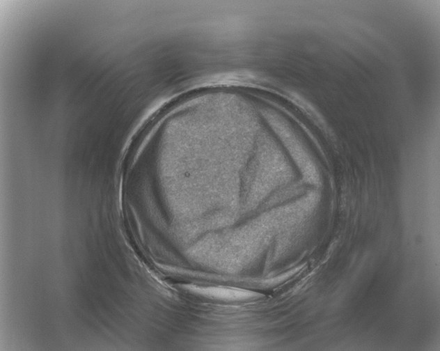 X0000066951224200604142041