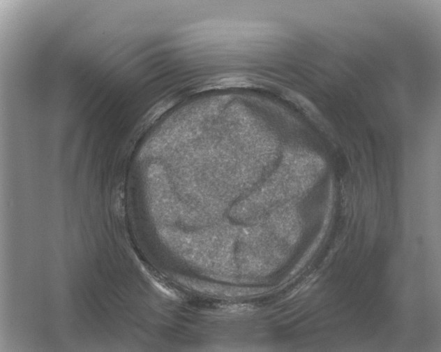 X0000066951225200604142041