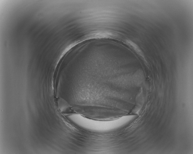 X0000066951226200604142041