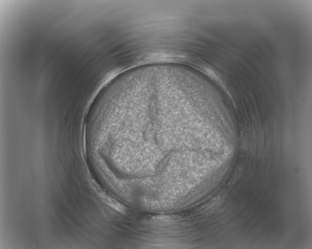 X0000066951227200604142041