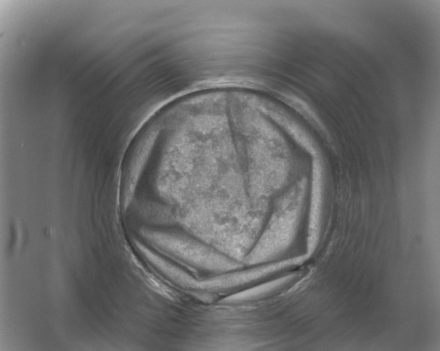 X0000066951228200604142041