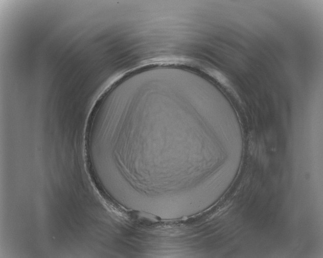 X0000066951229200604142041