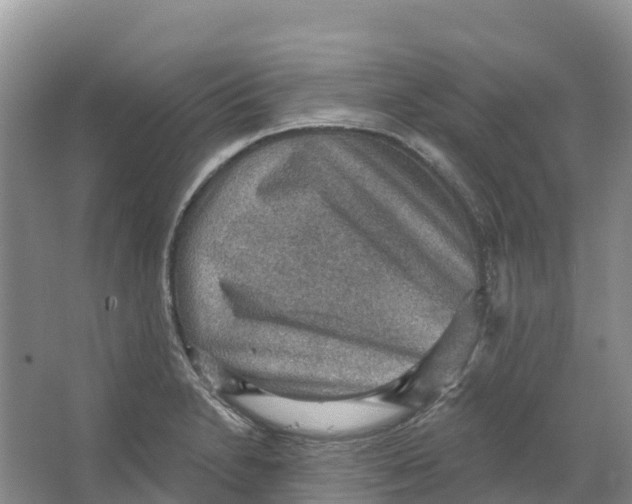 X0000066951230200604142041