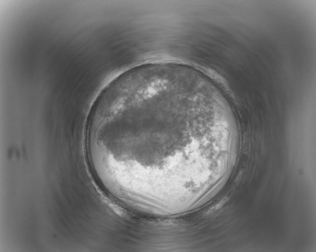 X0000066951231200604142041