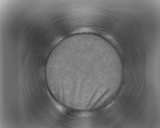 X0000066951233200604142041