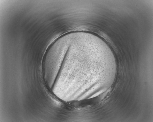 X0000066951234200604142041