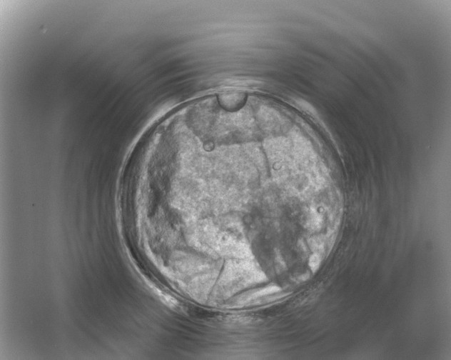 X0000066951235200604142041