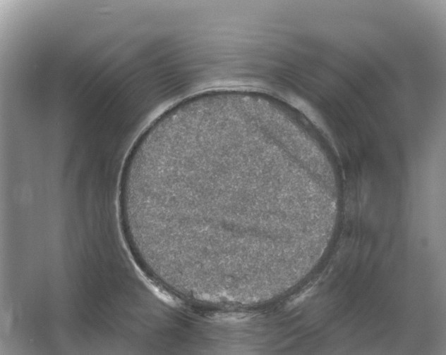 X0000066951237200604142041