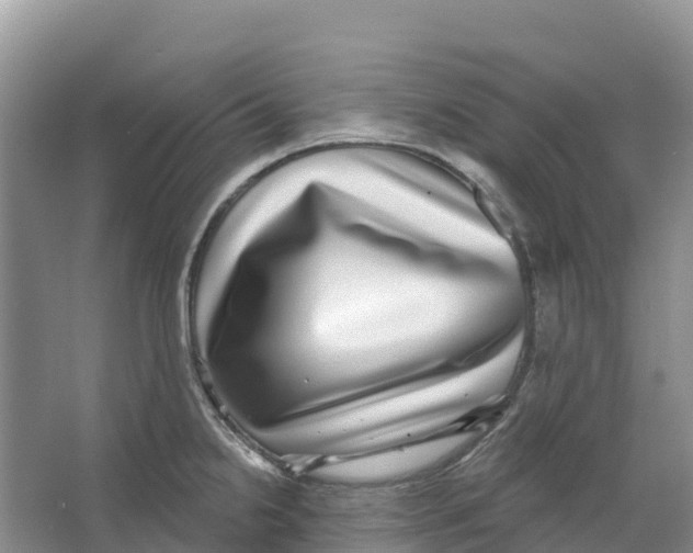 X0000066951238200604142041