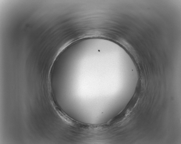 X0000066951242200604142041