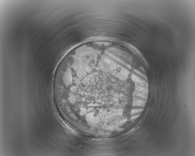 X0000066951244200604142041