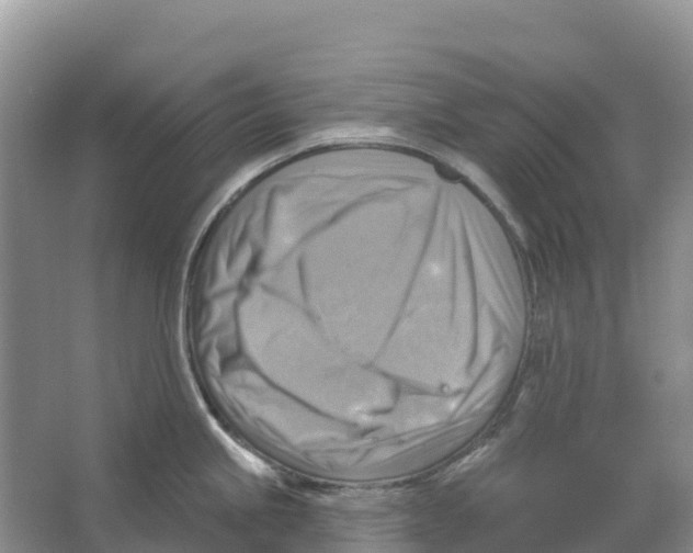 X0000066951245200604142041