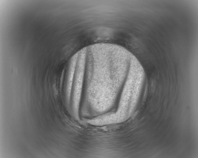 X0000066951250200604142040