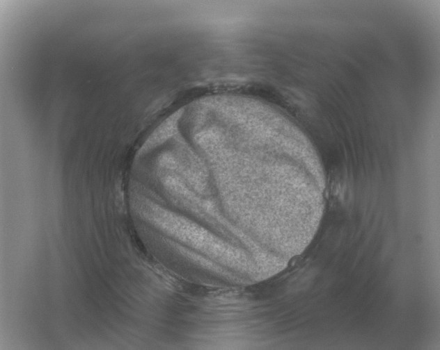 X0000066951252200604142040