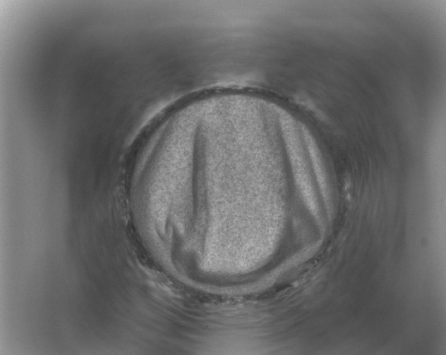 X0000066951256200604142040