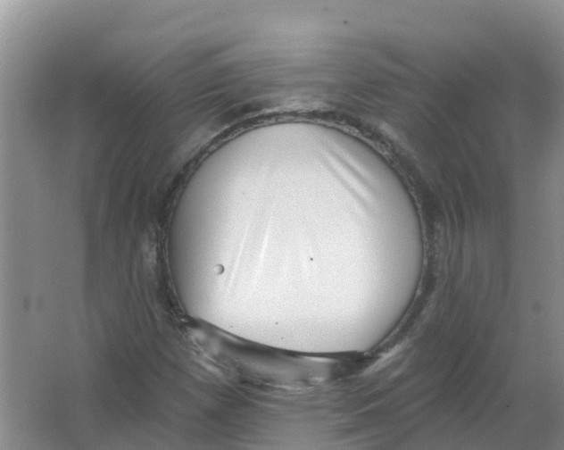 X0000066951257200604142040